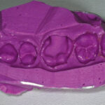 Figura 5